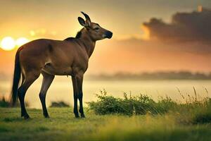 ein Gnus steht im das Gras beim Sonnenuntergang. KI-generiert foto