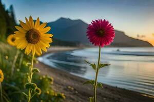 Sonnenblumen auf das Strand beim Sonnenuntergang. KI-generiert foto