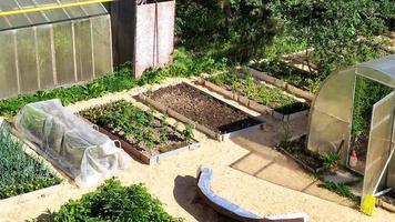 Gärten mit Gemüse in ihrem Sommerhaus. Gemüseanpflanzungen