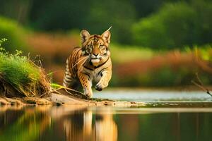 ein Tiger Laufen über das Wasser im das Wald. KI-generiert foto