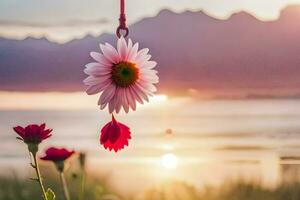 Foto Hintergrund das Himmel, Blumen, das Meer, das Sonnenuntergang, das Strand, das Sonnenuntergang,. KI-generiert