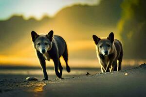 zwei Hunde Gehen auf ein Schmutz Straße beim Sonnenuntergang. KI-generiert foto