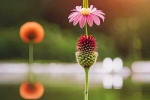 ein Rosa Blume ist Stehen auf oben von ein Grün Stengel. KI-generiert foto