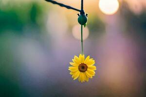 ein Gelb Blume hängend von ein Kabel. KI-generiert foto