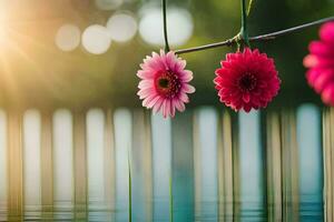 zwei Rosa Blumen hängend von ein Kabel. KI-generiert foto