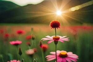 Rosa Blumen im ein Feld mit das Sonne leuchtenden. KI-generiert foto