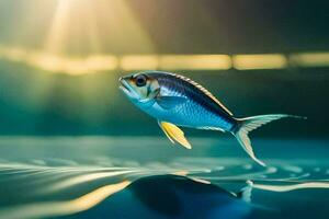 ein Fisch Schwimmen im das Wasser mit Sonnenlicht leuchtenden. KI-generiert foto