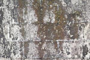 Schmutziger Grunge-Backsteinmauerhintergrund mit totem Moos foto