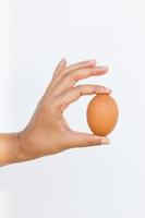 Hand mit Ei isoliert auf weißem Hintergrund
