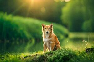 ein Hund Sitzung auf das Gras durch ein Fluss. KI-generiert foto