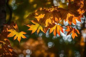 Herbst Blätter im das Sonnenlicht. KI-generiert foto