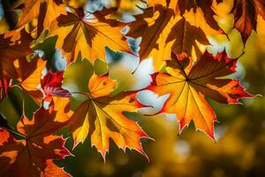 Herbst Blätter sind gezeigt im diese Foto. KI-generiert foto