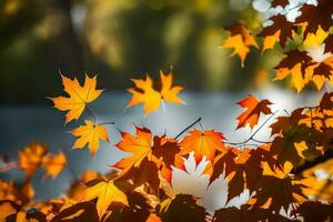 Herbst Blätter sind gezeigt im das Hintergrund. KI-generiert foto