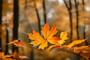 Herbst Blätter im das Wald. KI-generiert foto