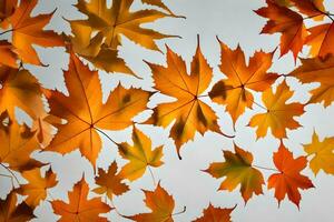 Herbst Blätter auf das Boden. KI-generiert foto