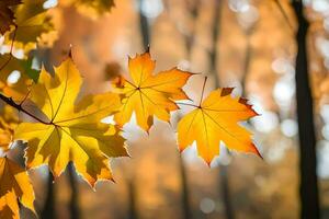 Herbst Blätter im das Wald. KI-generiert foto