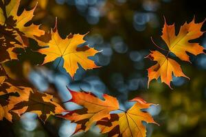 Herbst Blätter fotografieren - - Herbst Blätter fein Kunst drucken. KI-generiert foto