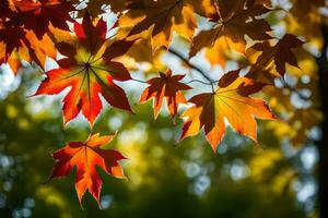 Herbst Blätter, Herbst, Herbst Blätter, Herbst Blätter, Herbst Blätter, Herbst Blätter, Herbst. KI-generiert foto