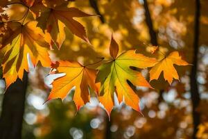 Herbst Blätter, Herbst, Herbst Blätter, Herbst Blätter, Herbst Blätter, Herbst Blätter, Herbst. KI-generiert foto