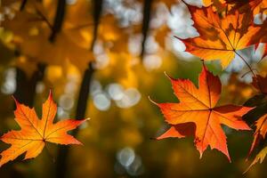 Herbst Blätter, Herbst, Herbst Blätter, Herbst Blätter, Herbst Blätter, Herbst Blätter, Herbst. KI-generiert foto