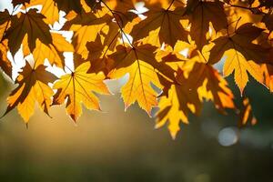 Herbst Blätter sind gezeigt im das Sonne. KI-generiert foto