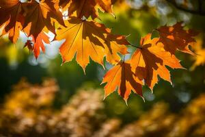 Herbst Blätter im das Sonne. KI-generiert foto