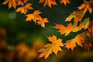 Herbst Blätter auf ein Baum. KI-generiert foto