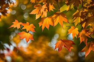 Herbst Blätter auf ein Baum im das fallen. KI-generiert foto