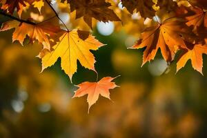 Herbst Blätter auf ein Baum. KI-generiert foto