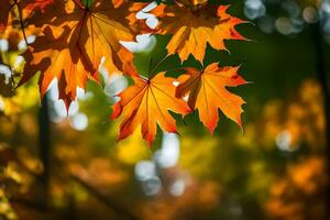 Herbst Blätter im das Sonnenlicht. KI-generiert foto