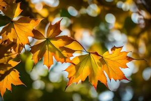 Herbst Blätter durch jason Kim. KI-generiert foto