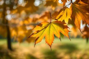 Herbst Blätter im das Park. KI-generiert foto