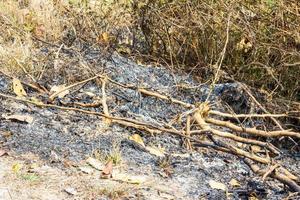 die Brandspuren in den Bergen foto