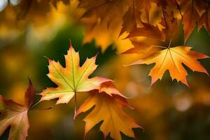 Herbst Blätter, Herbst, Herbst Blätter, Herbst Blätter, Herbst Blätter Hintergrund, Herbst Blätter Hintergrund. KI-generiert foto