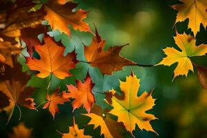 Herbst Blätter sind gezeigt im diese Foto. KI-generiert foto