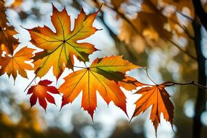 Herbst Blätter auf ein Baum Ast. KI-generiert foto