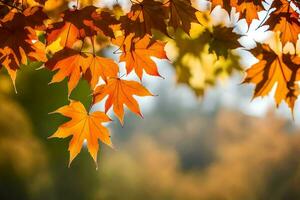 Herbst Blätter sind gezeigt im das Sonnenlicht. KI-generiert foto