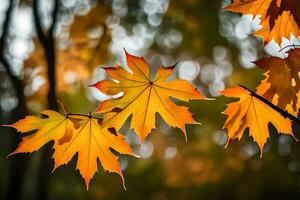 Herbst Blätter, Herbst, Herbst Blätter, Herbst Blätter, Herbst Blätter, Herbst Blätter, Herbst. KI-generiert foto