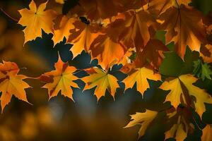 Herbst Blätter sind gezeigt im das Sonnenlicht. KI-generiert foto