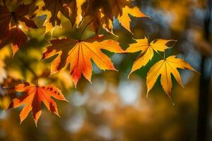 Herbst Blätter auf ein Baum. KI-generiert foto