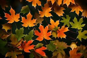 Herbst Blätter auf ein schwarz Hintergrund. KI-generiert foto