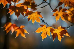 Herbst Blätter auf ein Baum Ast. KI-generiert foto