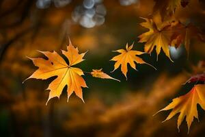 Herbst Blätter, Herbst, Herbst Blätter, Herbst Blätter, Herbst Blätter, Herbst Blätter, Herbst. KI-generiert foto