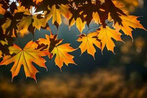 Herbst Blätter sind gezeigt im das Sonnenlicht. KI-generiert foto