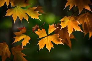 Herbst Blätter auf ein Baum. KI-generiert foto