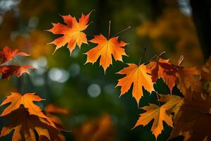 Herbst Blätter, Herbst, Herbst Blätter, Herbst Blätter, Herbst Blätter, Herbst Blätter, Herbst. KI-generiert foto