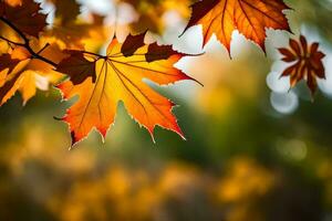 Herbst Blätter sind gezeigt im das Sonnenlicht. KI-generiert foto