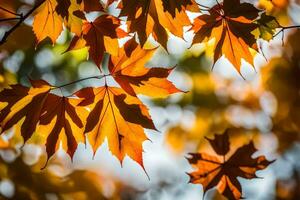 Herbst Blätter im das Sonnenlicht. KI-generiert foto