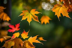 Herbst Blätter, Herbst, Herbst Blätter, Herbst Blätter, Herbst Blätter, Herbst Blätter, Herbst. KI-generiert foto