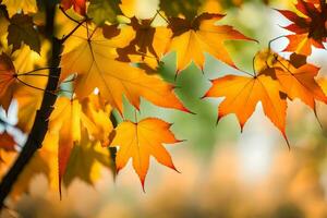 Herbst Blätter sind gezeigt im diese Foto. KI-generiert foto